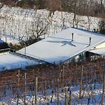 D'orsaria And Wines