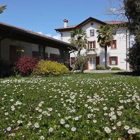 D'orsaria And Wines Premariacco