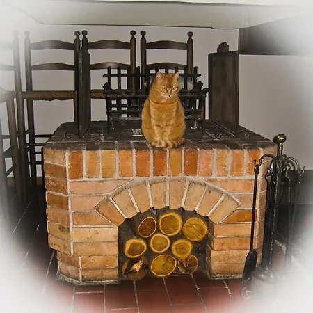 Couette-café D'orsaria And Wines Premariacco