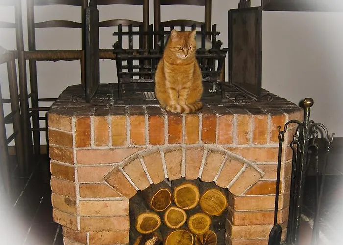 Bed & Breakfast D'orsaria And Wines Premariacco